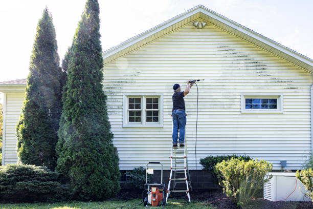 Best Graffiti Removal  in West Branch, IA